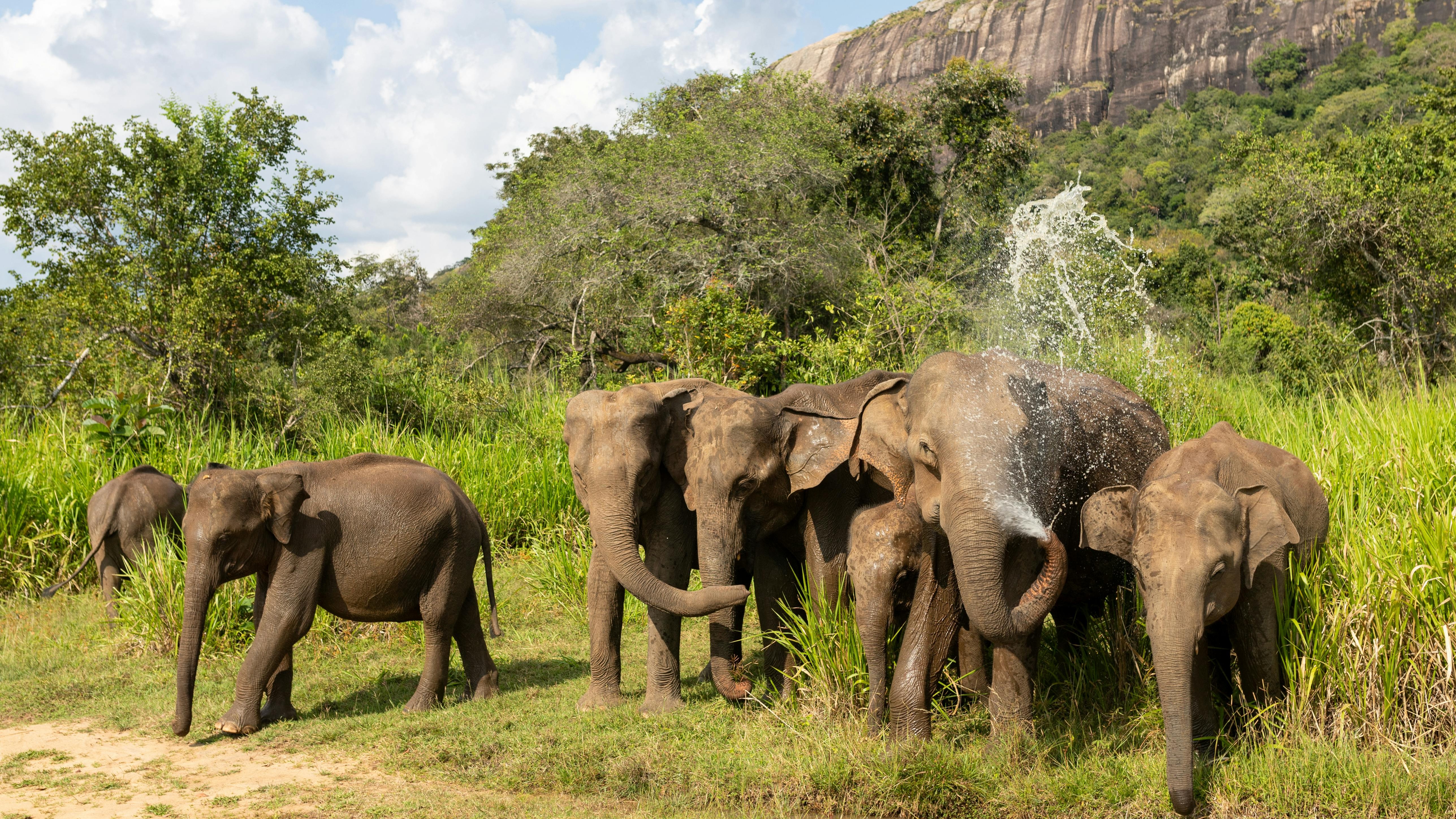 Wildlife & Nature Sri Lanka